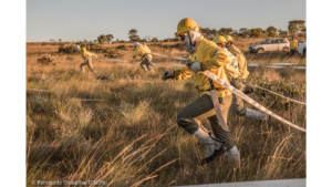 Processo Seletivo para Brigadistas e Chefes de Esquadrão na Reserva Biológica do Jaru
