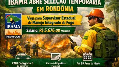 IBAMA abre vaga de nível médio com salário de R$ 5,6 mil em Porto Velho